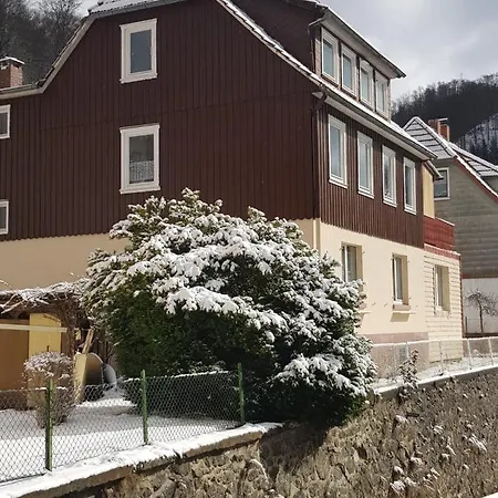 Haus Am Fluss Mit Wunderschoener Dachterrasse Mit Flussblick ,garten Und Grill Ferienhaus Zorge