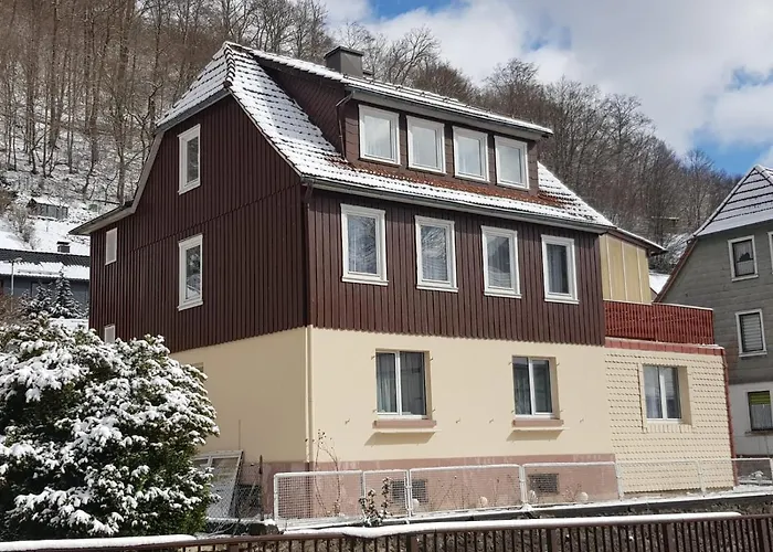 Haus Am Fluss Mit Wunderschoener Dachterrasse Mit Flussblick ,garten Und Grill * Zorge